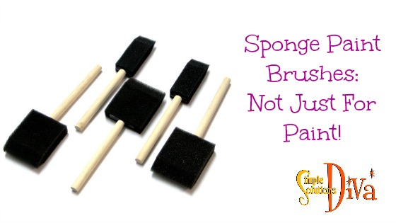 SSD Sponge Brushes
